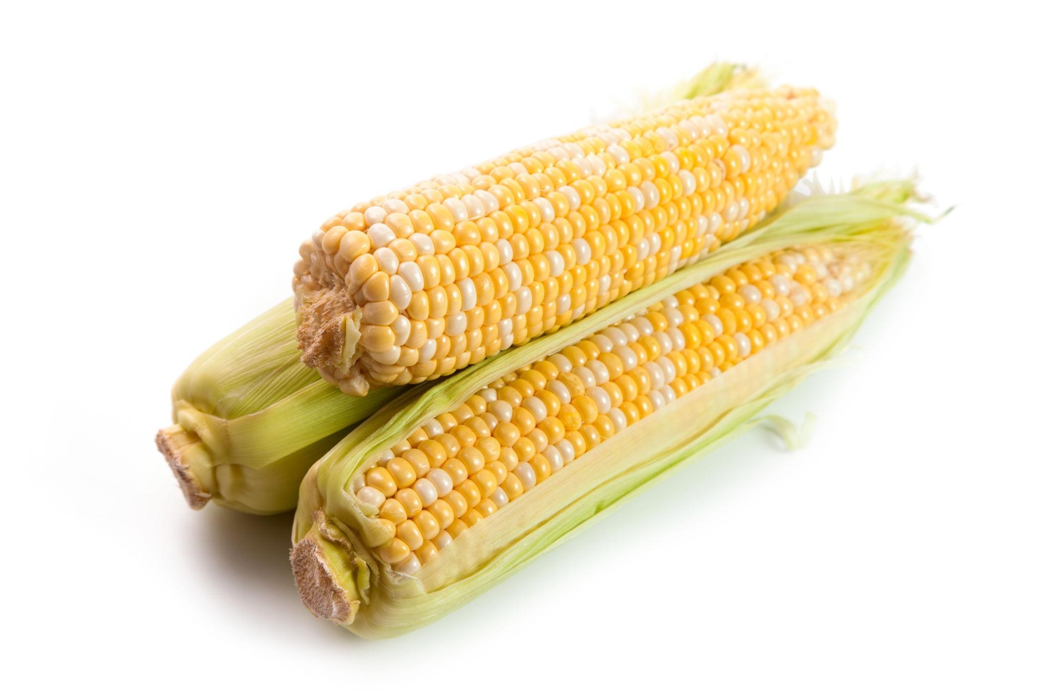 Organic Sweet Corn