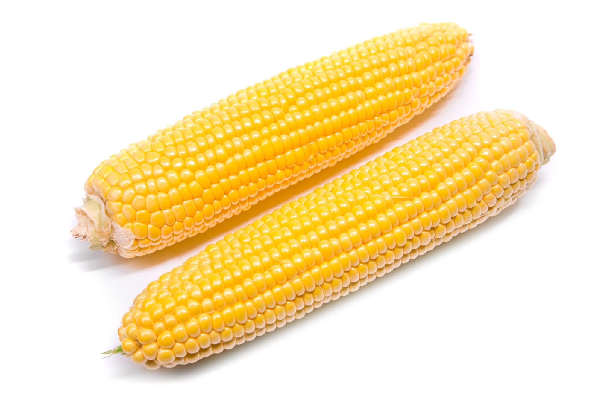 Fresh Sweet Corn - 2pcs