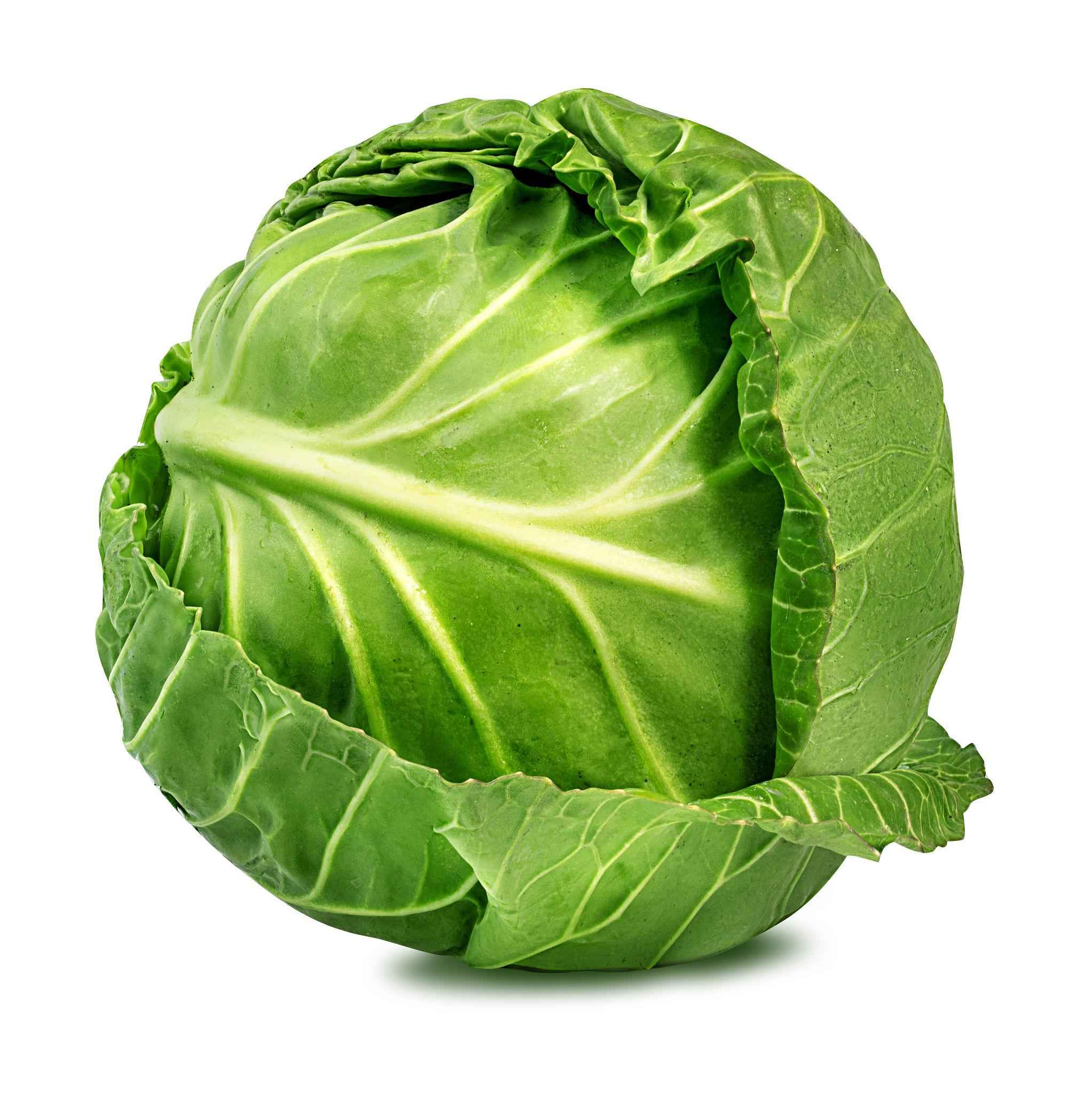 Organic Green Cabbage