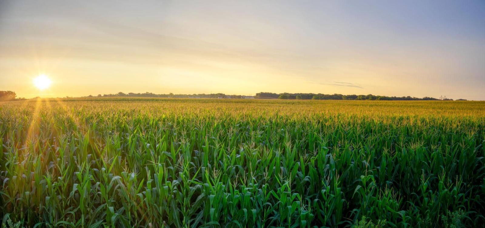 Green Harvest Organics is dedicated to bringing