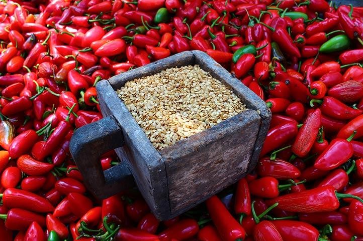 Premium Hot Pepper Seeds V3